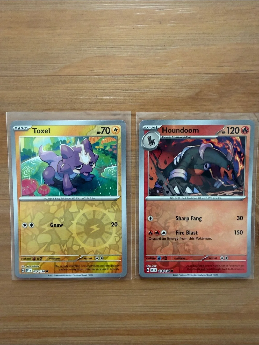 Pokemon scarlet violet